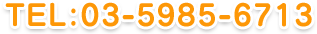 TEL:03-5985-6713